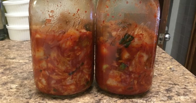 Easy Kimchi