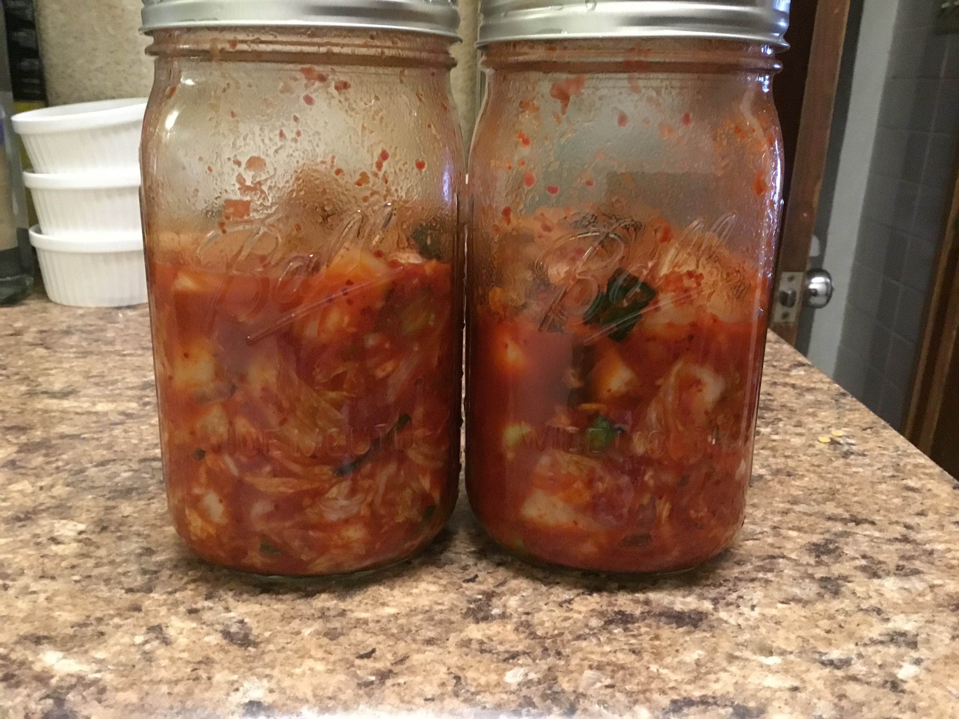 Easy Kimchi