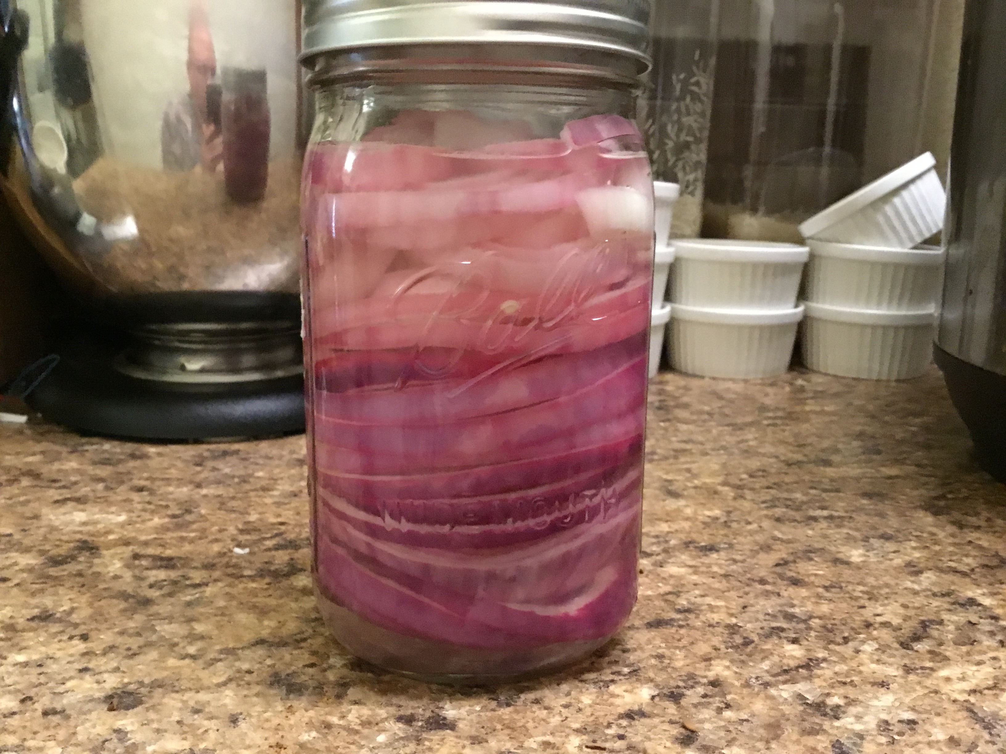 Pickled Red Onions