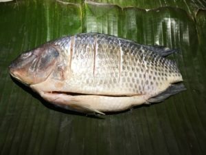 African, main course, fish