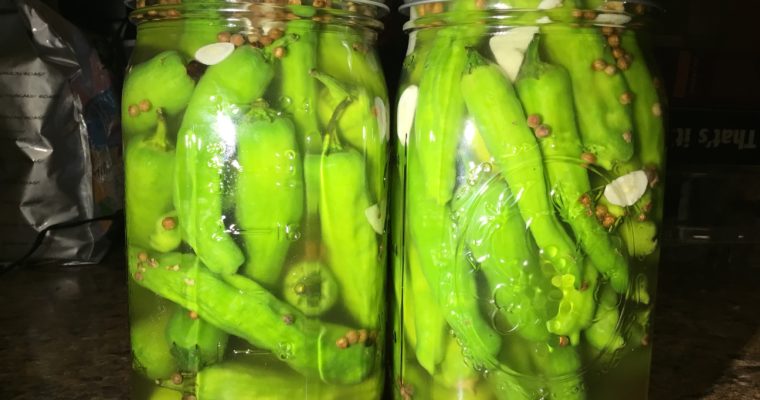 Pickled Shishito Peppers