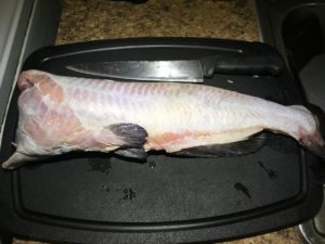 African, main course, fish