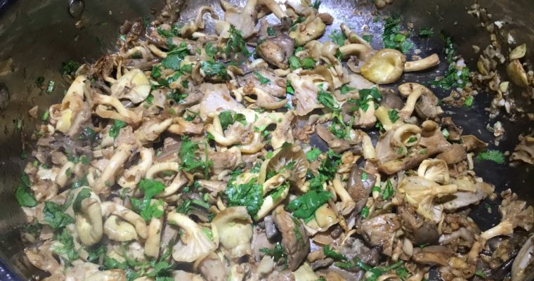 Oyster Mushroom Stir Fry