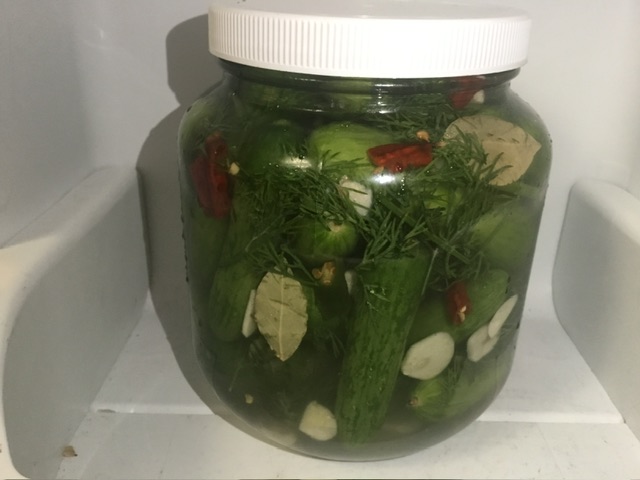 Spicy Refrigerator Pickles